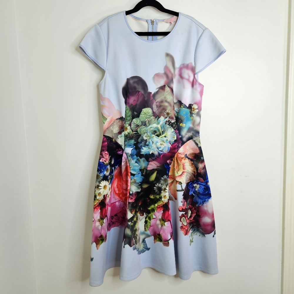 Ted Baker Dress